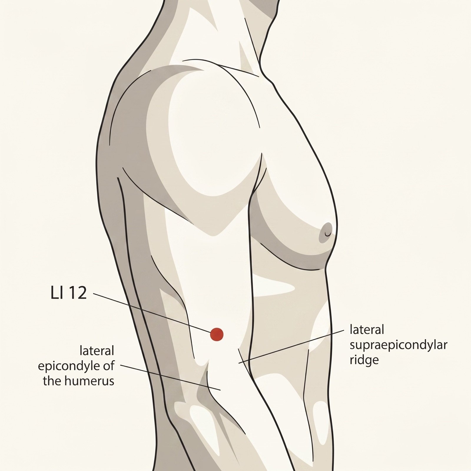 LI-12 Zhouliao — Foramen del Codo