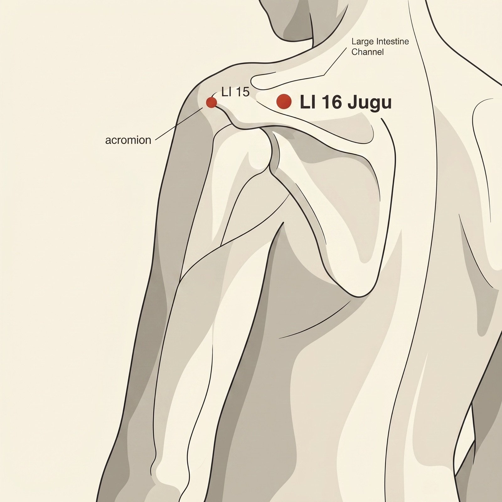 LI-16 Jugu — Gran Hueso