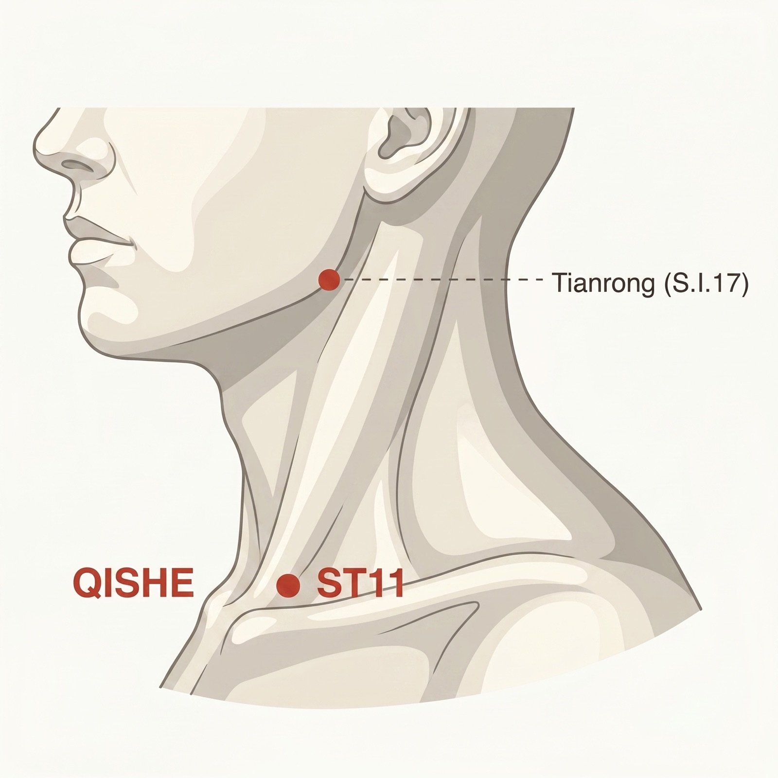 ST-11 Qishe