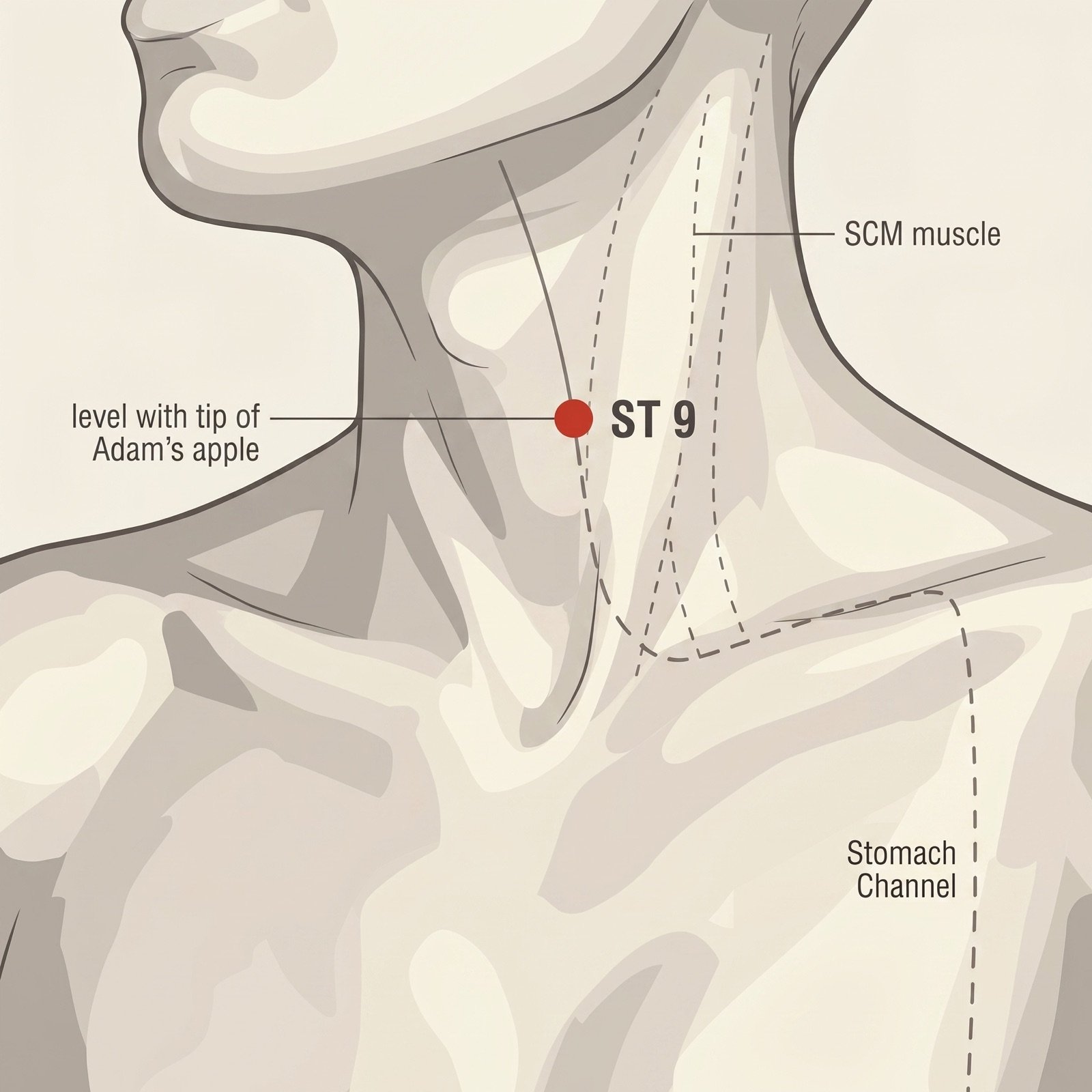 ST-9 Renying