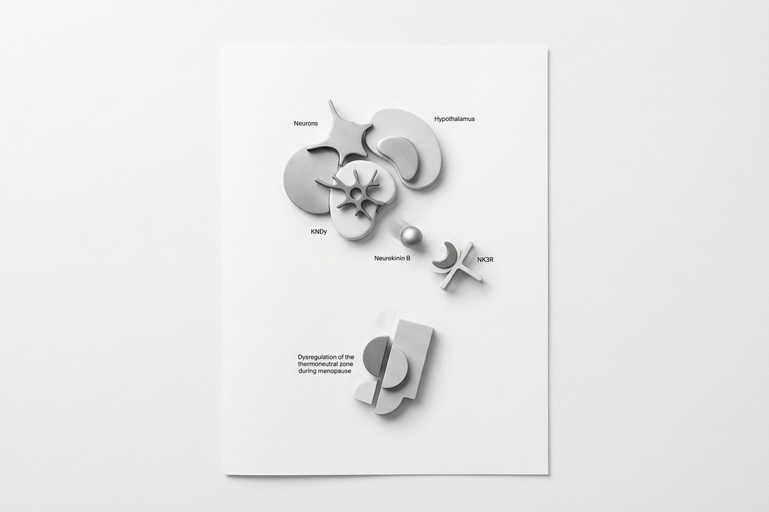 Fogachos da Menopausa