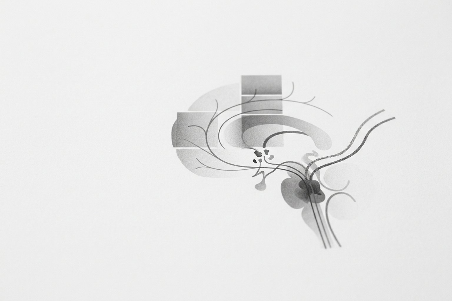 TDAH (Suporte Complementar)