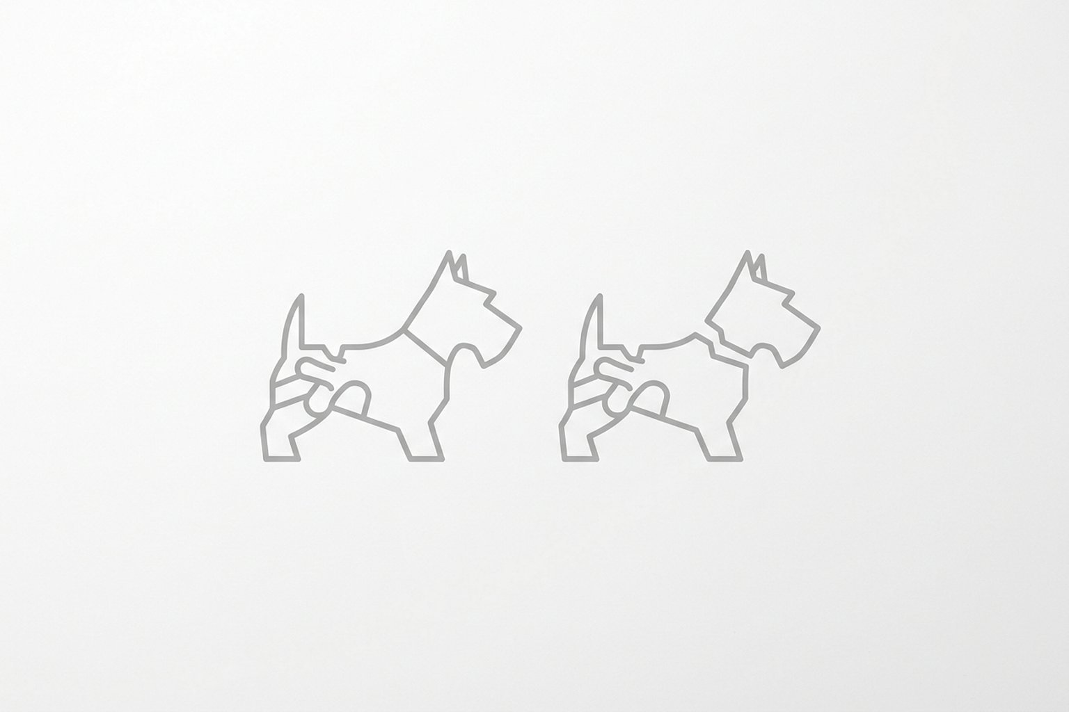 Radiografía oblicua que muestra el signo del «perro escocés» de La Chapelle (collar en el cuello) y radiografía lateral con la clasificación de Meyerding.